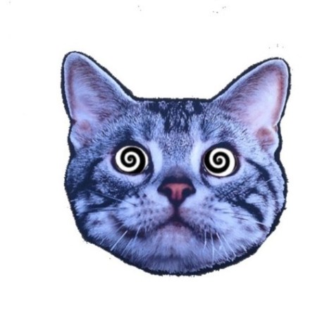 avatars-000086461310-r8iceb-t500x500