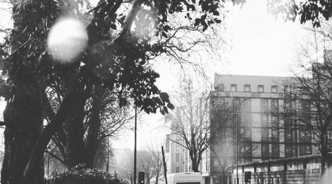 The Mellowdown Podcast | Orion Anakaris